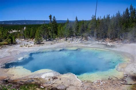 The Norris Geyser Basin In Yellowstone National Park Usa Stock Photo