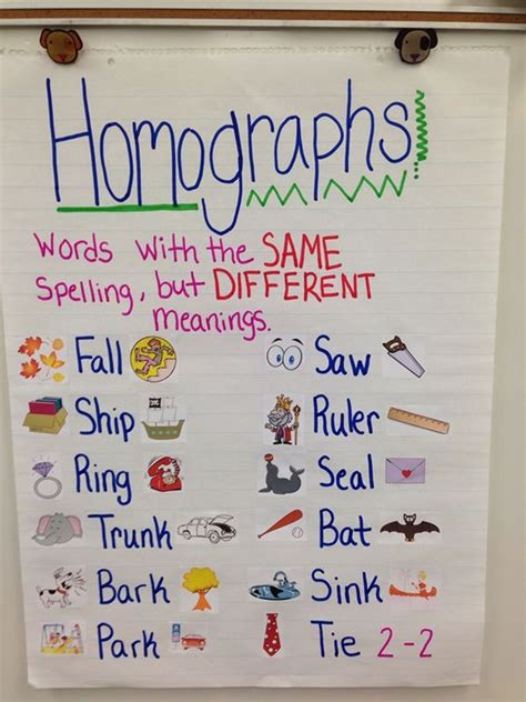 List Of Homographs In English Teaching Phonics Anchor Charts Teaching