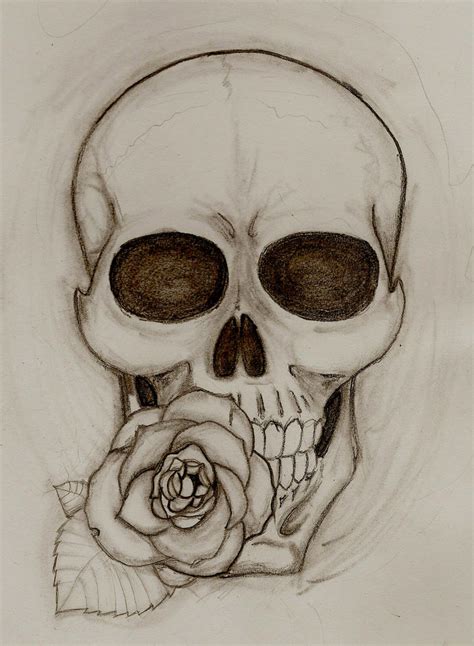 Skull And Rose By Bigevilgorilla On Deviantart