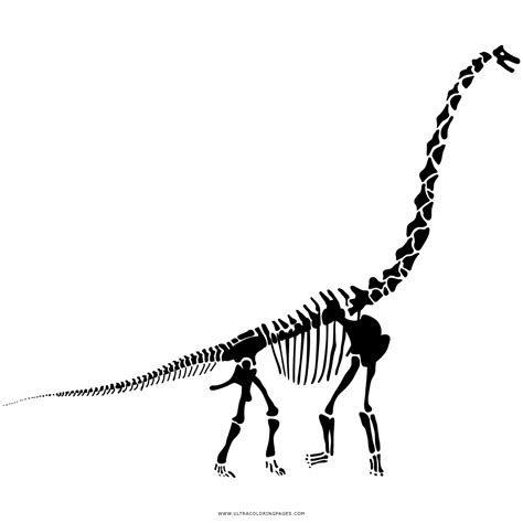 Für ihre referenzen, es gibt andere 11 ähnlich fotos von dinosaurier skelett malvorlage es volkmar. Dinosaurier Arten Ausmalbilder - Malvorlagen