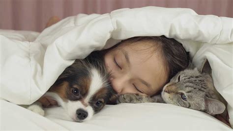 4 Benefits to Sleeping with Your Pet - PetsBlogs