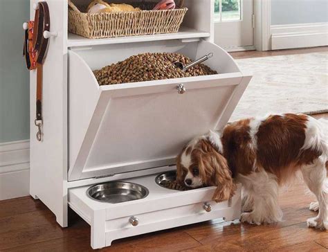 Pet Feeder Station » Gadget Flow