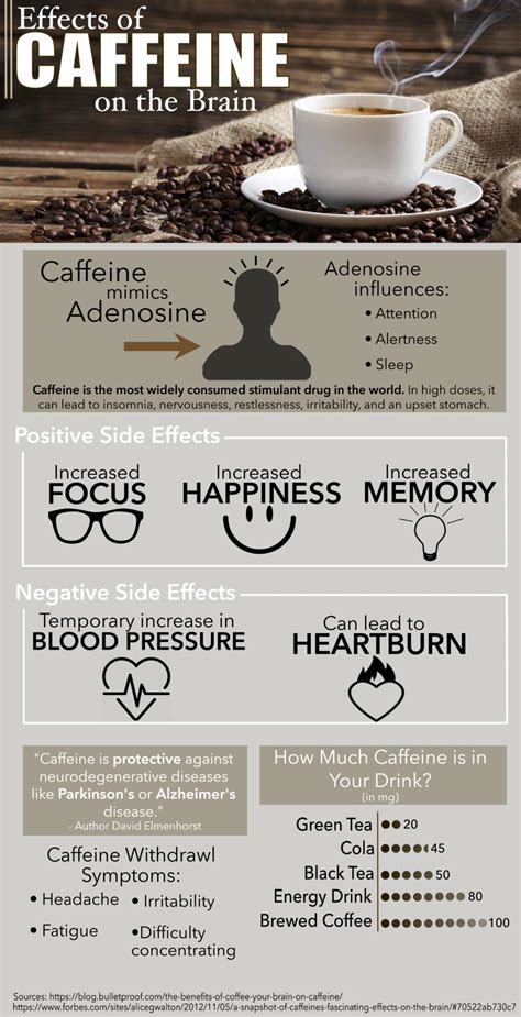 Caffeine’s Effects On The Brain Tommiemedia