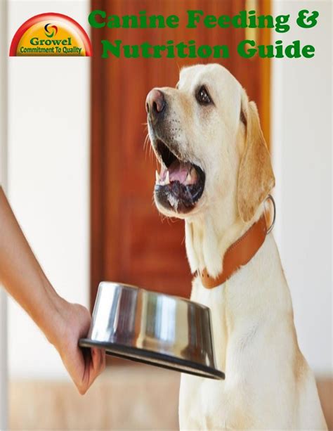 Canine Feeding And Nutrition Guide