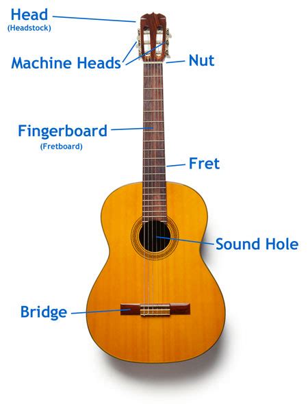 Think of it as looking straight at the upper part of the guitar's. learn guitar in 5 days: Guitar - a description-cum-diagram