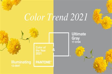Color Trend 2021