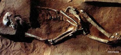 The Mungo Man Fossil Which Challenged Out Of Africa Theory Ancient