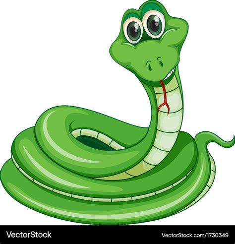 A Green Snake Royalty Free Vector Image Vectorstock
