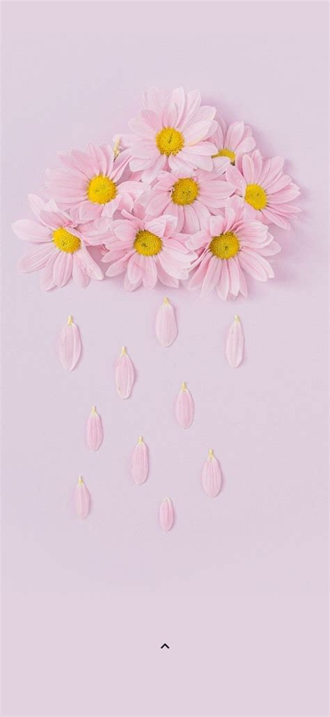 Pin By Melu Vazquez On Flowers Wallpaper In 2022 Magic School Magic