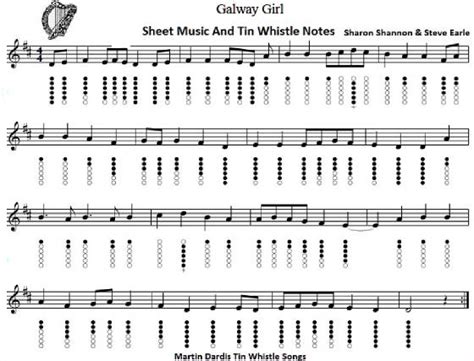 Galway Girl Song Lyrics Guitar Chords And Tin Whistle Sheet Music