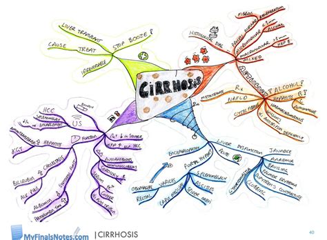 Cirrhosis Concept Map Campus Map
