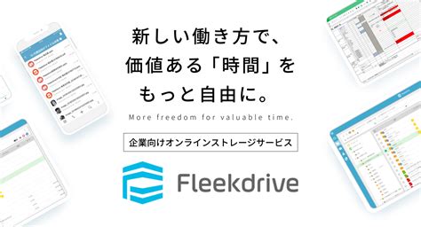 企業向けオンラインストレージサービス Fleekdrive