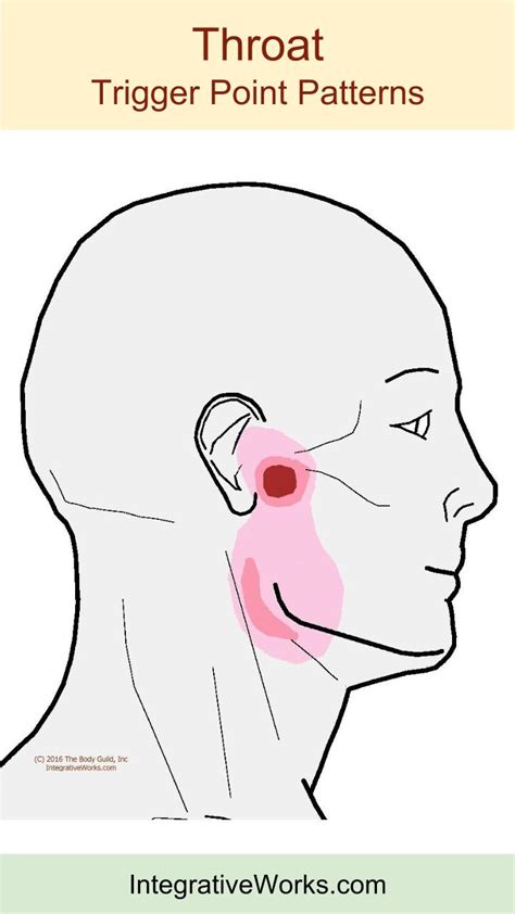 Trigger Points Earache And Sore Throat Integrative Works