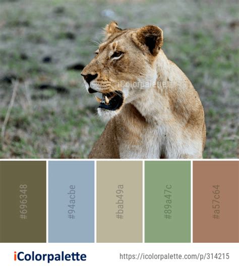 Color Palette Ideas From Wildlife Lion Terrestrial Animal Image Color