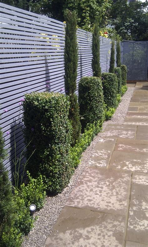 They are deciduous conifers, meaning they have needle like leaves and cones that change colors and fall off. Formal Modern Garden London - London Garden Blog