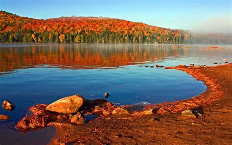Lakeshore Autumn Landscape Wallpaper 1680x1050 Download