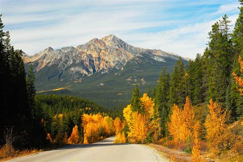 Jasper National Park In The Fall Bugles And Brilliance