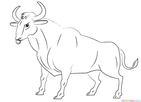 To print the coloring page: How to draw a cartoon bull step by step. Drawing tutorials for kids and beginners.