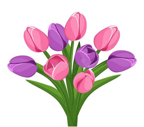 Tulipanes Púrpuras Ilustración Del Vector Ilustración Del Vector
