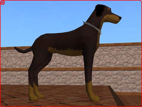 Mod The Sims Doberman 1st Object Mesh Upload