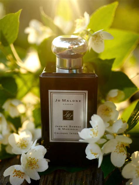 Jasmine sambac & marigold de jo malone london est un parfum floral pour femme. Jasmine Sambac & Marigold Jo Malone London perfume - a ...