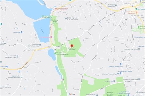 A Mike Who Likes to Hike