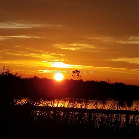 Florida Sunrise Over Protected Wetlands Stock Photo Image Of Sunrise