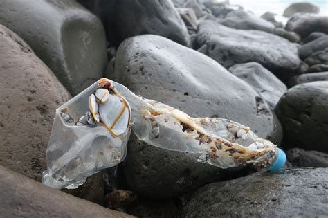 Dumped At Sea Plastic Pollution In The South Atlantic Uct News