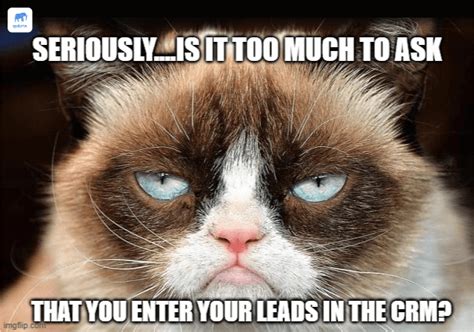 10 Funny Real Estate Crm Memes To Make You Laugh Out Loud Qobrix