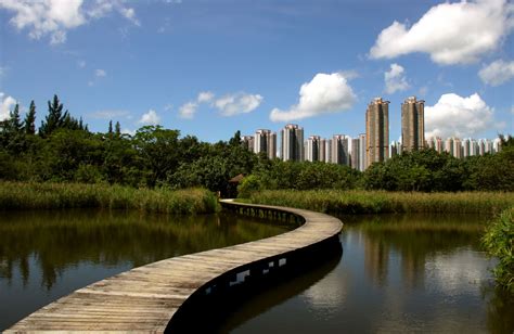 Hong Kong Wetland Park Hong Kong