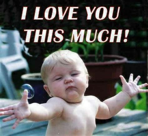Amazing And Funny Collection Of I Love You Memes Best Wishes And Greetings