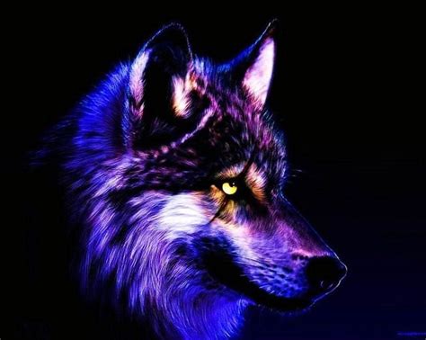 Cool Wallpapers Wolves Wolf Background Images