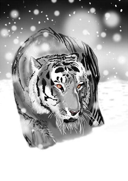 Snow Tiger By Nis Staack On Deviantart