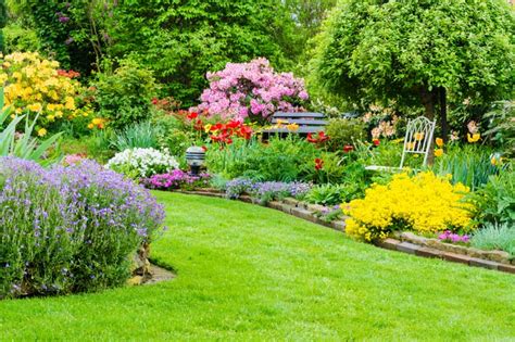 Guía De Otoño 2018 Con Consejos Para El Jardín