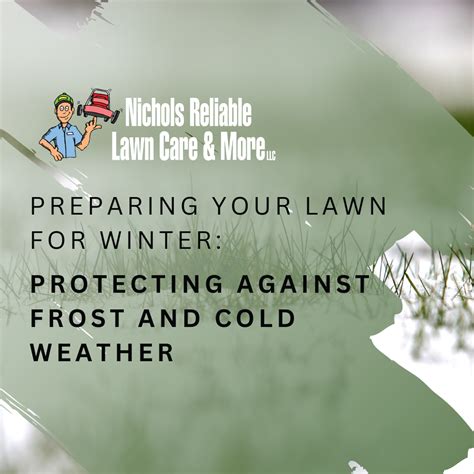 Winter Lawn Protection 7 Tips To Safeguard Your Yard