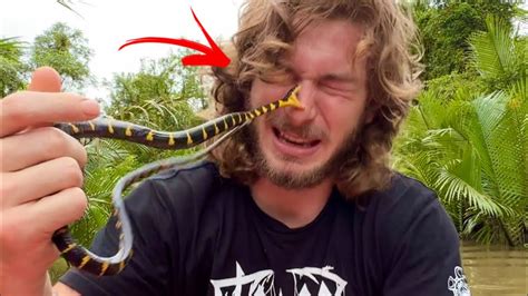 Venomous Snake Bite To The Face Youtube