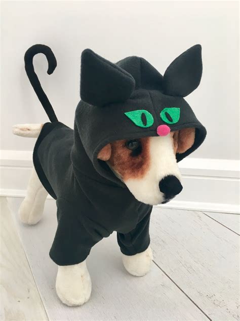 Costumes For Cats And Dogs Idalias Salon