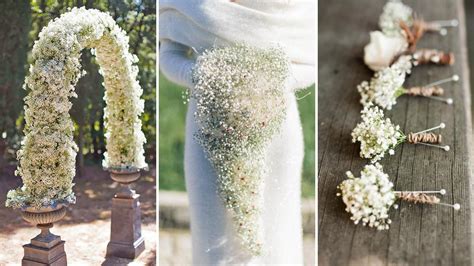 Your Ultimate Guide To Wedding Flowers Names And Types Bridalspk