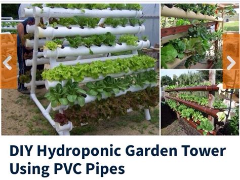 Learn how to build a hydroponic system today. 🌾DIY Hydroponic Garden Tower Using PVC Pipes! 🌾 - Musely