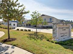 Live Life Abundantly Explore Our Senior Apartments With Panoramic Views