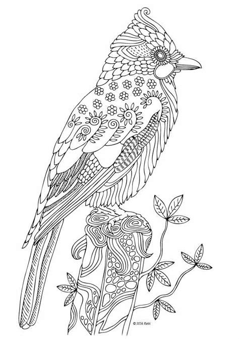 Illustration By Keiti With Images Bird Coloring Pages Coloring