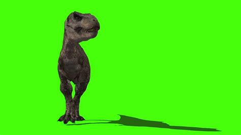 Jurassic Park T Rex Roars And Bites Animation Royalty Free Green Screen Footage Cg Dinosaur 3ds