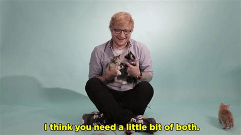 15 things ed sheeran revealed while playing with kittens and answering your fan questions