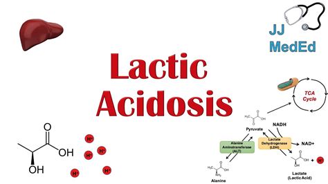Lactic Acidosis What Is It Causes Ex Metformin And Subtypes A Vs