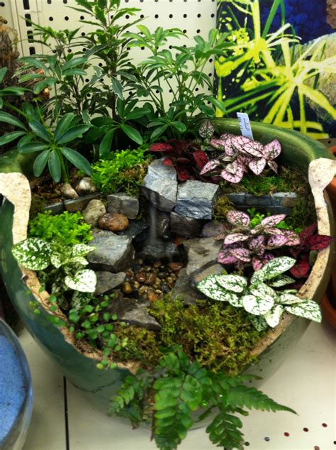 Water Feature Designed By Kristin Middleton Succulent Garden Diy
