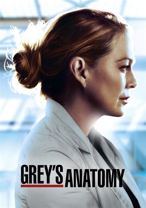 grey s anatomy season 19 watch episodes streaming online