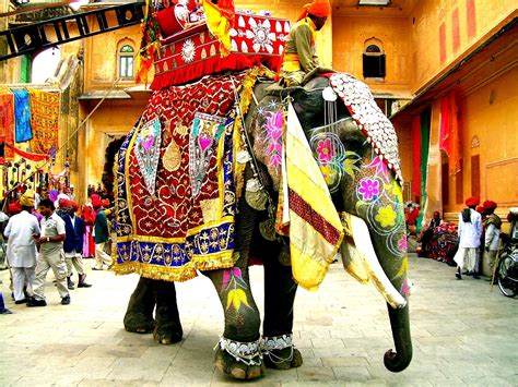 Riding An Elephant Dressed Up Like This In India Is A Must Elephant