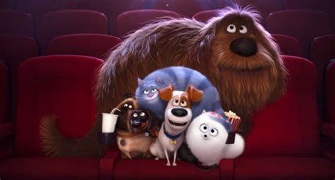 Image All Petspng The Secret Life Of Pets Wiki Fandom Powered By