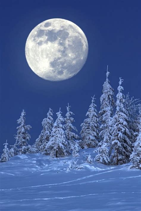 Winter Moon Winter Pictures Winter Scenery Moon Photography