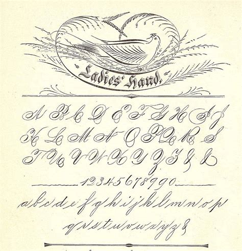 Spencerian Script Alphabet